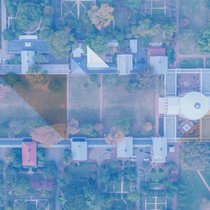 The Lawn