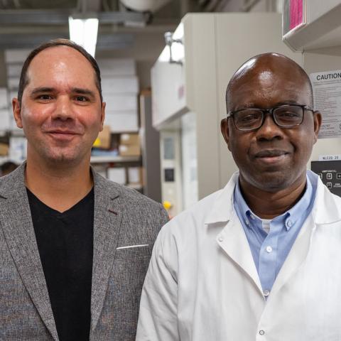 Pires Lab